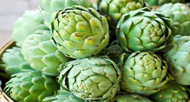 Jak vypěstovat artyčok venku na venkově ze semen, domácí péče